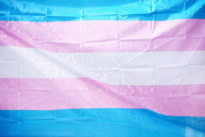 Drapeau de la fiert&eacute; trans